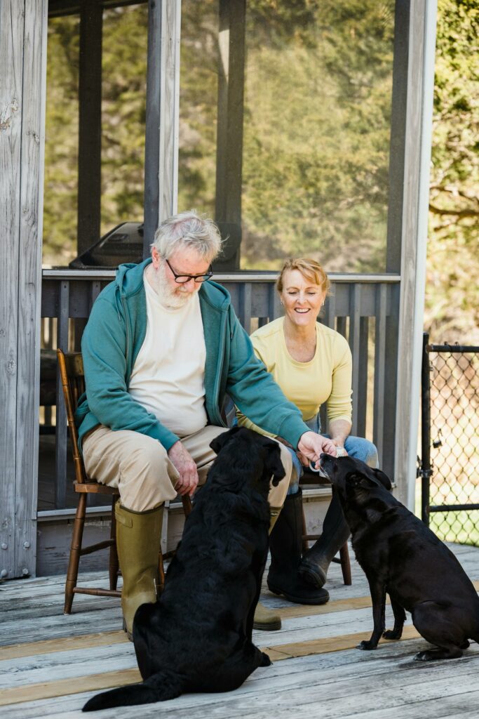 An older couple sit outside on a weathered wood deck. The man wears wellies and the women has a yellow shirt. They both wear jeans. Two black dogs sit in front of them. One dog is eating a treat from the man's hand.